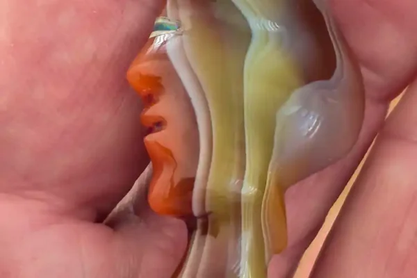 OZRAINBOWS-FACE-SCULPTURES-0413