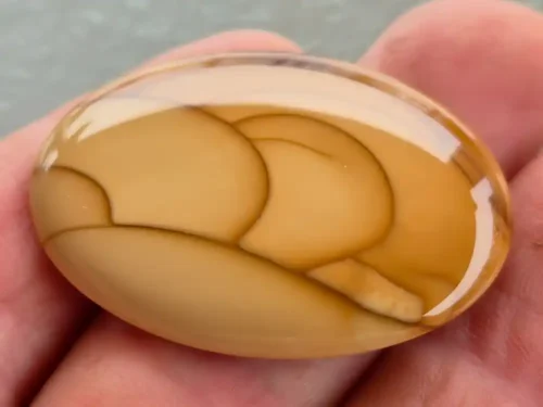 BRUNEAU JASPER-JMW-003A