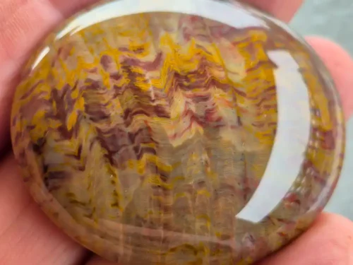 PETRIFIED WOOD-JMW0007