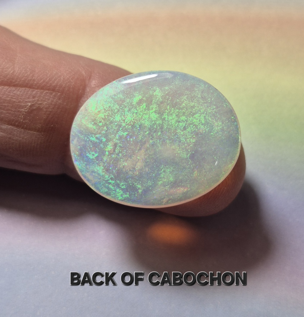 LT-OPAL-005A